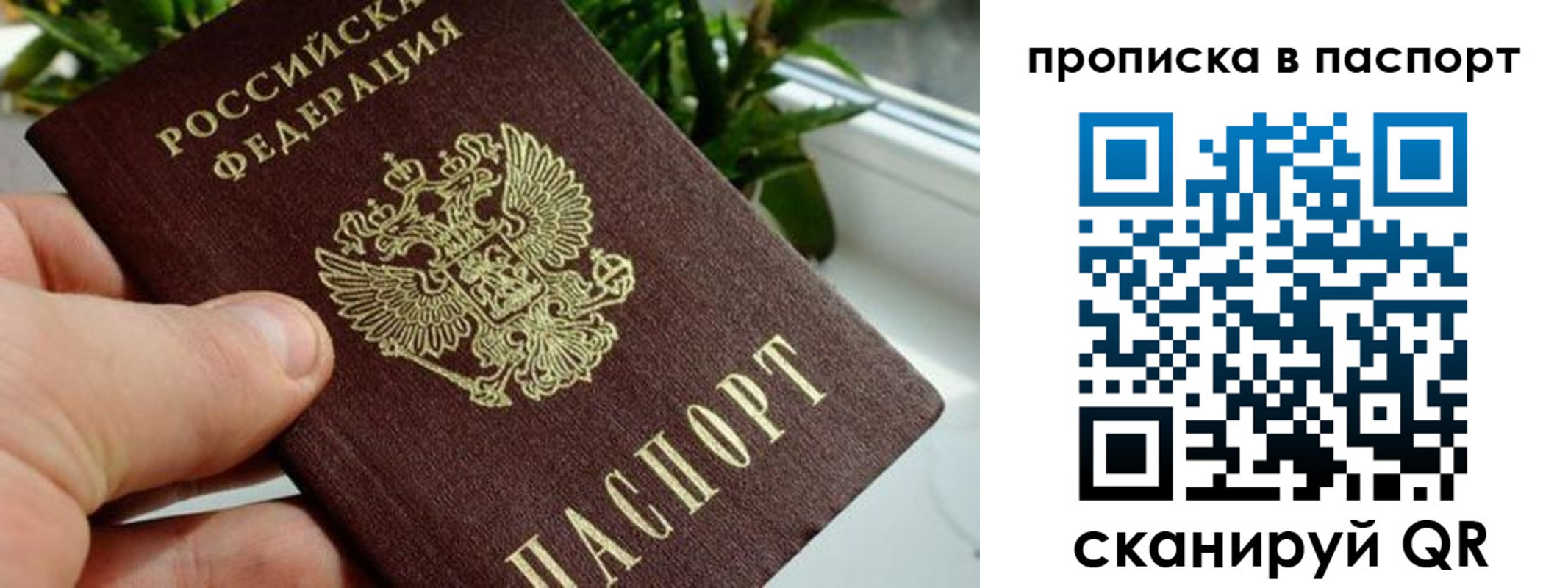 пропишу в квартире в Малгобеке